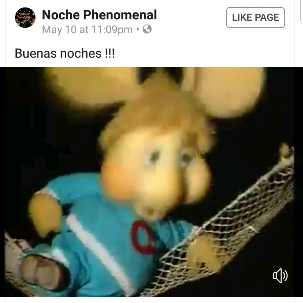 Meet your Posher, Susan